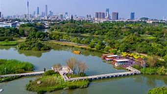 广州海珠湿地公园现在开什么花_广州海珠湿地公园现在开什么花了呢