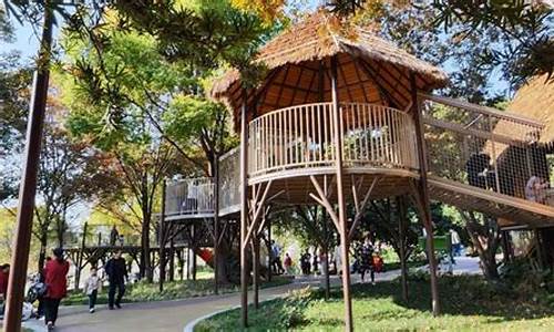 宁波儿童公园属于哪个街道_宁波儿童公园属于哪个街道社区